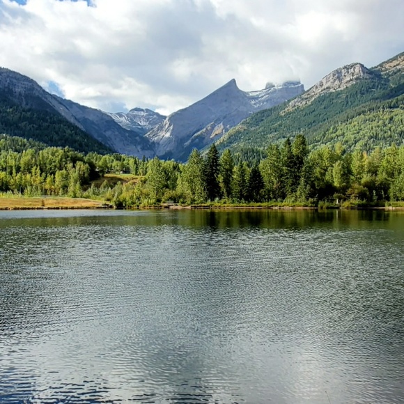 Meet your Posher, Kate - Picture 1 of 1